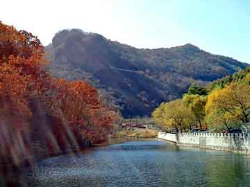 新澳天天开奖资料大全旅游团，水龟虫科